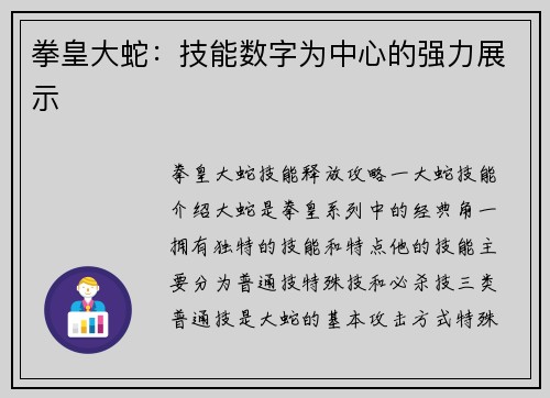 拳皇大蛇：技能数字为中心的强力展示